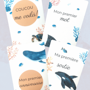 Carte étapes bébé océan 30 cartes Cadeau futurs parents/future maman/baby shower, photo souvenir